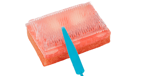 Surgical Scrub Brush - Dry with Nail Cleaner - Each – Nine Group  International LTD