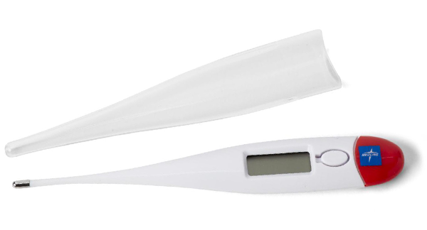 Thermomètre digital numérique rectal
